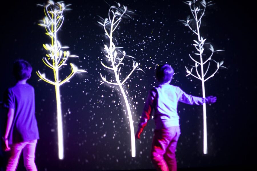Prague: Ticket to Audiovisual Light Art at Lumia Gallery - Rules and comfort: when you should skip it