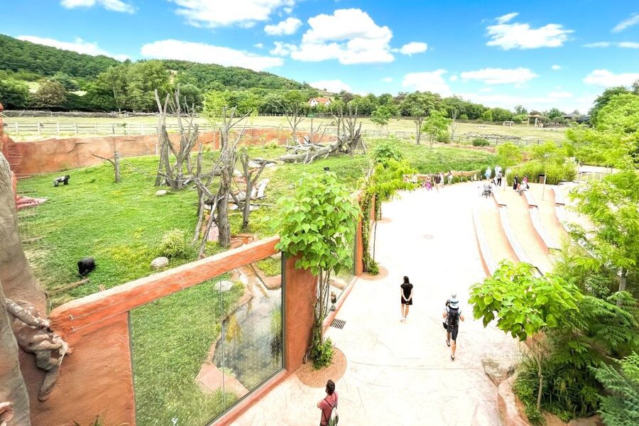 Prague Zoo Online Audio Guide (No ticket) - Key things to know before you go