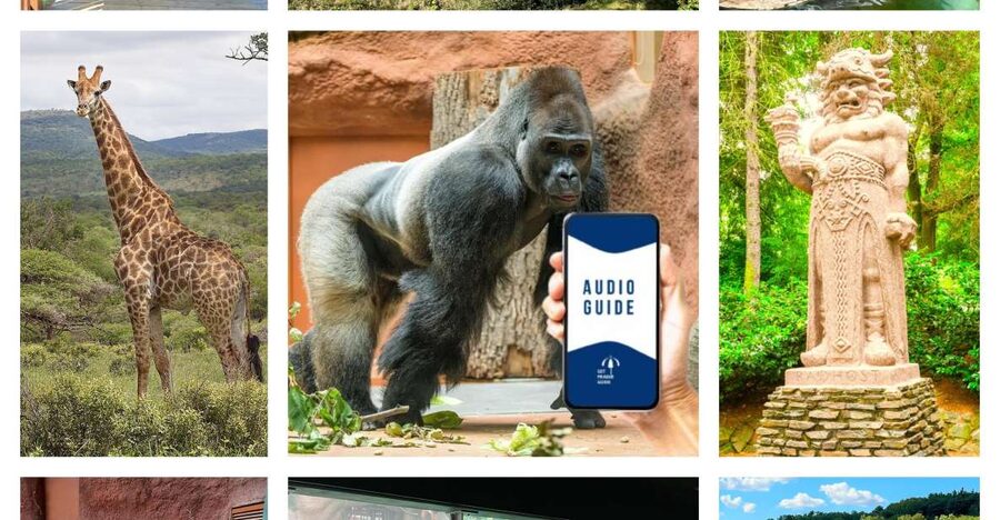 Prague Zoo Online Audio Guide (No ticket) - How the day flows at Prague Zoo, stop by stop
