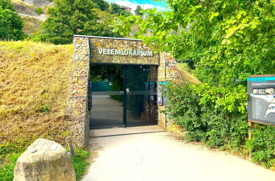 Prague Zoo Online Audio Guide (No ticket) - Who this Prague Zoo audio guide is best for