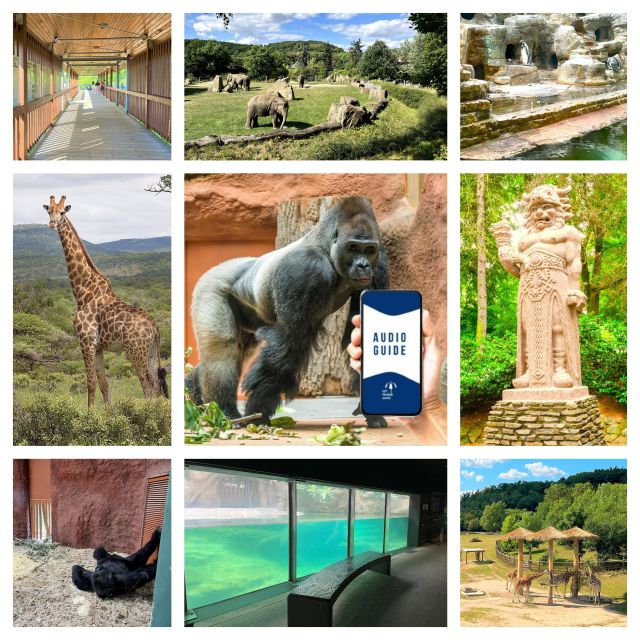 Prague Zoo Online Audio Guide (No ticket) - What you actually learn, from thousands of animals to the hard years