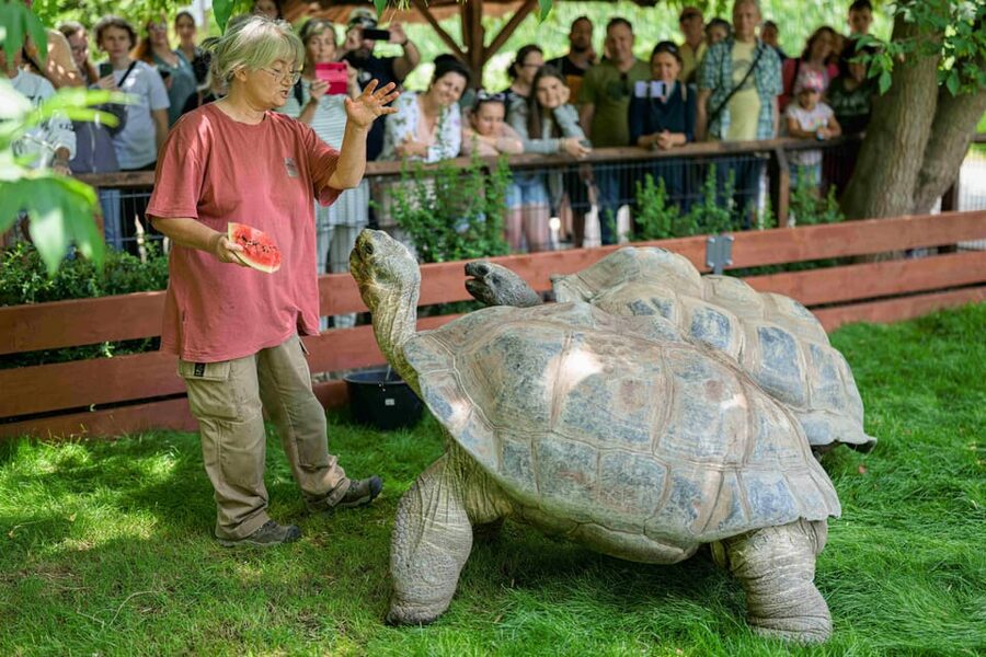 Prague Zoo: Skip-the-Line Entry Ticket - What you will actually see: elephants, polar bears, and more