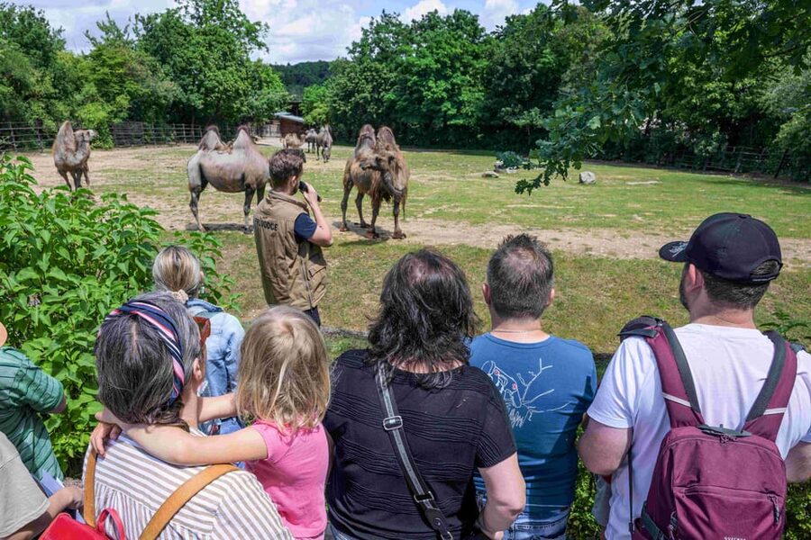 Prague Zoo: Skip-the-Line Entry Ticket - Rules that affect your day: what you can and cannot do