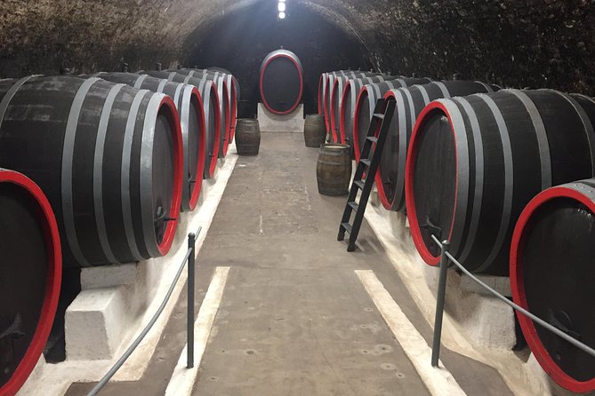 Private Bohemia Wine Tour from Prague with Gourmet Tastings - Lunch and snacks, the underrated part of a long wine day