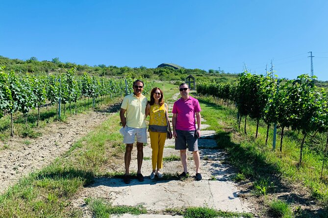 Private Bohemia Wine Tour from Prague with Gourmet Tastings - Stop 2 in Žalhostice at Vinařství Pod Radobýlem, volcanic slopes and modern methods