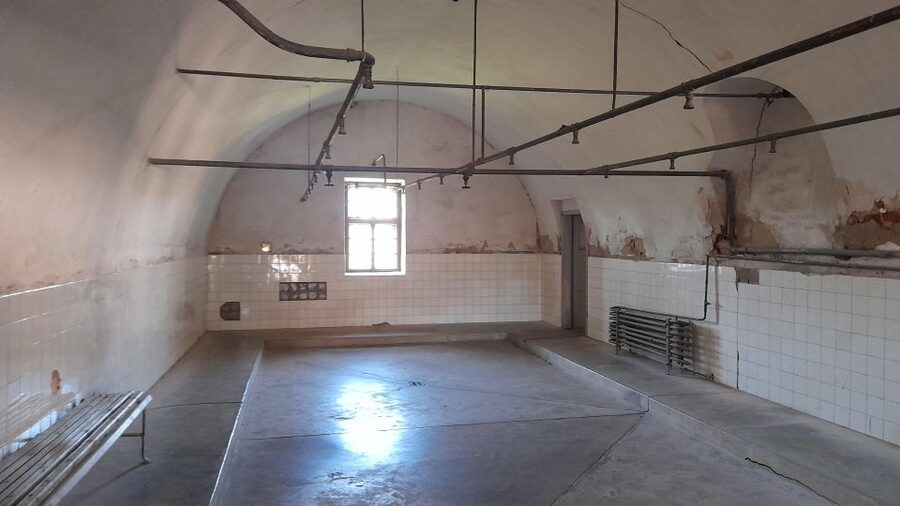 Private Half-Day Tour To Terezin Concentration Camp - Big Fortress Ghetto: Museum Rooms, Hidden Synagogue, and Magdeburg Barracks