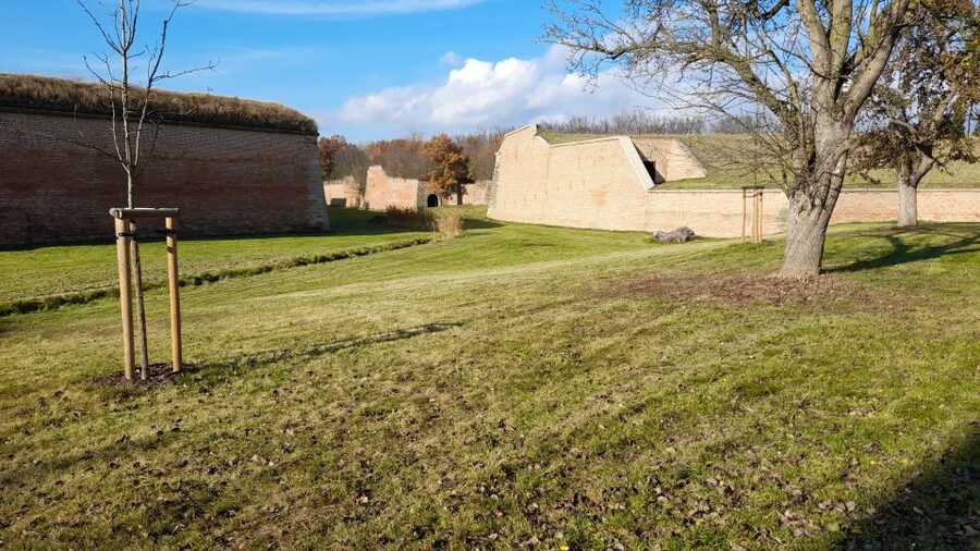 Private Half-Day Tour To Terezin Concentration Camp - The Guide Factor: How Private, Local Interpretation Changes Everything