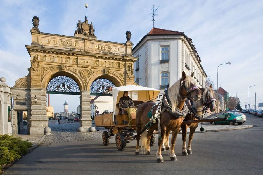 Private Pilsen & Pilsner Urquell Brewery Tour Prague - Price math: $494 per group plus the 380 CZK brewery admission