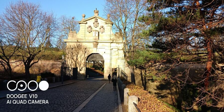 Real life in Prague - Easy Walk from Vysehrad to Vyton - Dogs and local rhythm: Bison’s role in the whole experience
