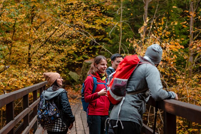 VIP Best Reviews: Bohemian & Saxon Switzerland from Prague - When the tour is private: you control the mix