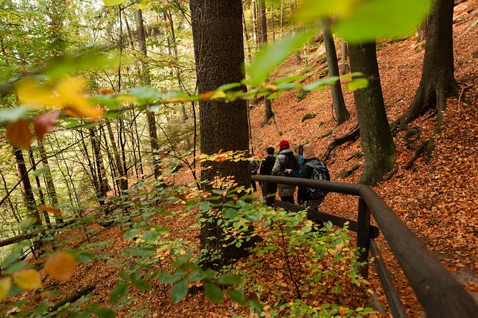 VIP Best Reviews: Bohemian & Saxon Switzerland from Prague - Weather reality check: why “good weather” matters here